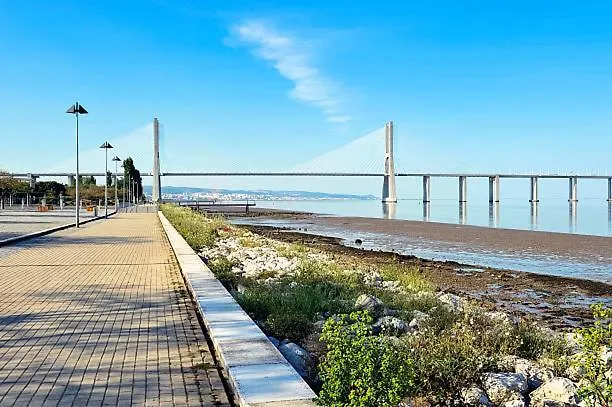 Apartment Vasco De Gama : Your Stylish Near Vasco De Gama