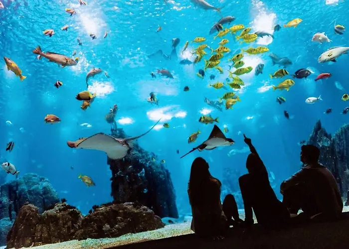 Vasco De Gama : Your Stylish Near Vasco De Gama Appartement *