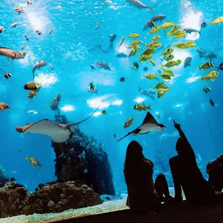 Vasco De Gama : Your Stylish Near Vasco De Gama アパート *